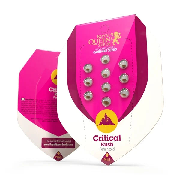 Critical Kush (feminisiert)